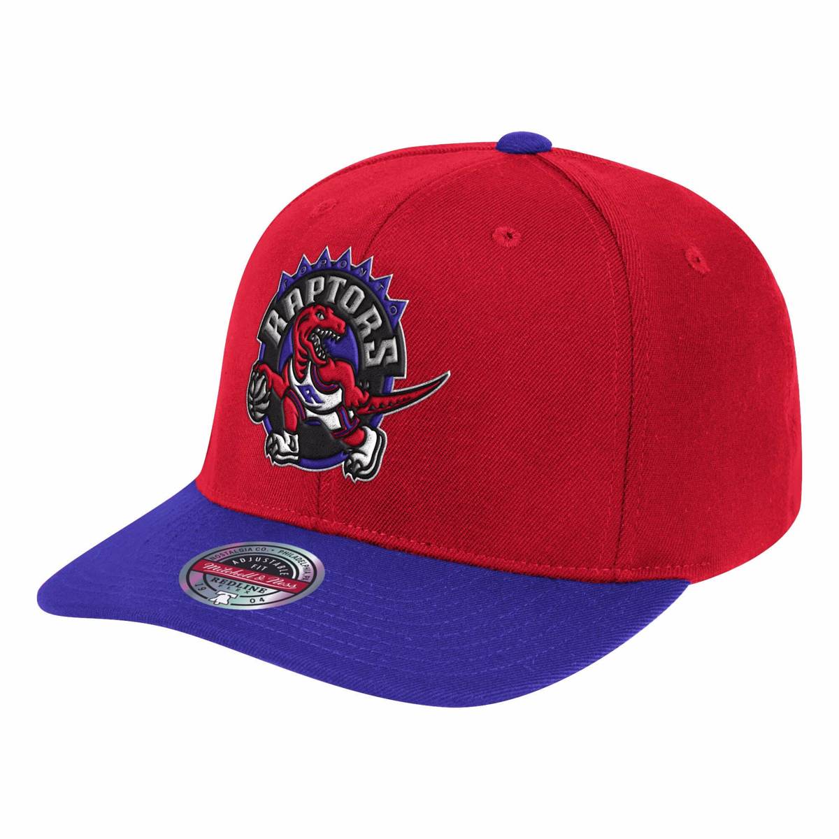 raptors snapback