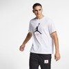 Air Jordan JUMPMAN FLIGHT HBR TEE - AO0664-100