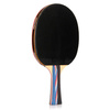 Set METEOR Mistral Table Tennis 15017 + METEOR Table Tenis Ball Set 6 Pack 55803
