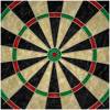 Dart board Carromco Super Play 45 cm - 83240